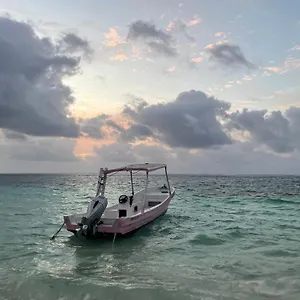  Gasthuis Home's Jungle Puerto Morelos 20 Minutes From The Airport